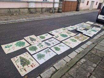 Stare skolni plakaty 50/60 leta