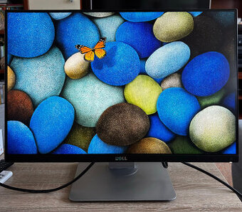 Monitor Dell UltraSharp U2415B 24"