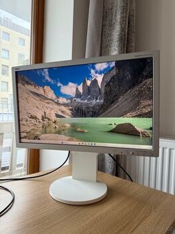 NEC MultiSync EA223WM 22 palců
