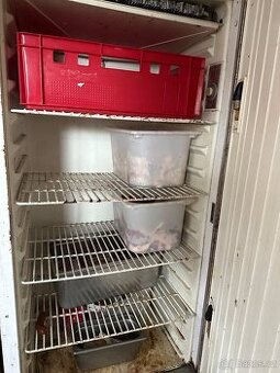 Gastro lednice na přepravky