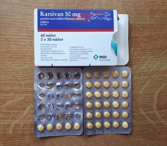 Karsivan 50 mg 35 tablet pro psy