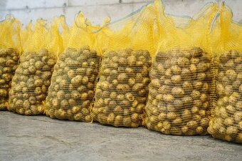 Prodám konzumní brambory 25 kg 5 Kč/kg