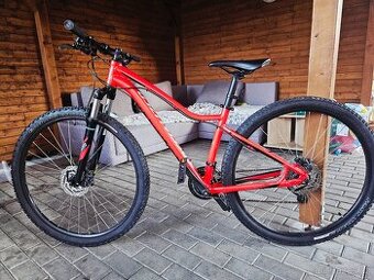 Specialized Jett Comp 29 2018 Horske kolo