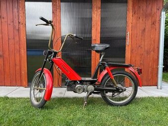 Babetta 207
