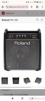 Roland Pm 100 kombo