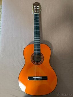 NOVÁ KYTARA WASHBURN