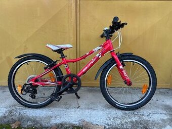 Superior Paint 20 s páčkovým řazením, hliníkový rám