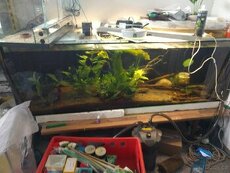 Akvárium 250 litrů