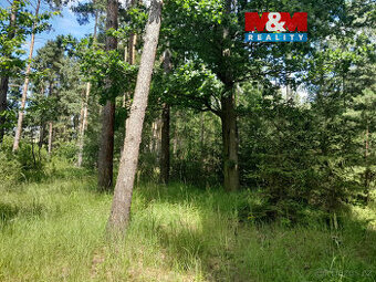 Prodej lesa, 18400 m², Putim