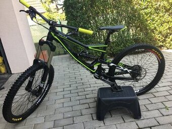 Specialized status 1