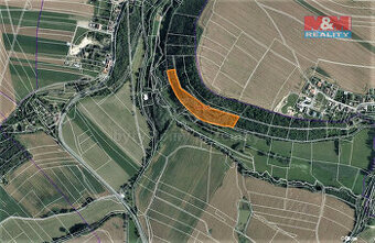 Prodej lesa, 14689 m², Skuteč