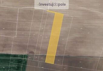 Prodej pole v k.ú. Přestavlky u Roudnice nad Labem