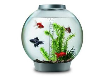 Biorb akvarijní set (akvárium) 30 l - NOVÉ, ZÁRUKA