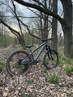 custom CTM dirtking