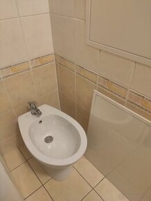 Bidet - 1