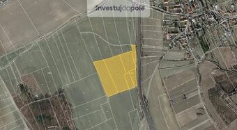 Prodej pole v k.ú. Stračí - 1