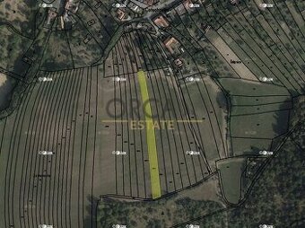 0,2 ha orné půdy v k. ú Cetechovice - 1