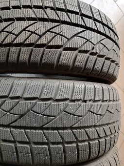 Zimní pneu 205/50R17 Evergreen Winter EW66