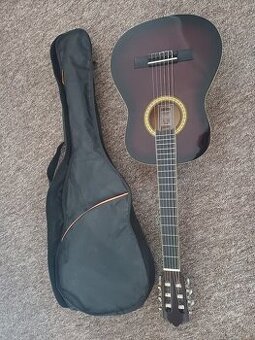 Kytara Ashton pro děti