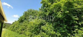Prodej lesních pozemků - Kožichovice, ev.č. 01181 - 1