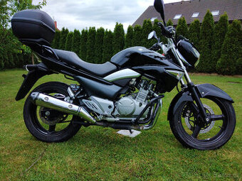 Suzuki Inazuma 250 R.V.2015
