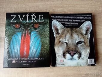 Zvíře - 1