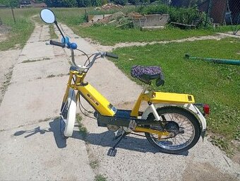Babetta 207