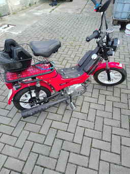 mp Korado
