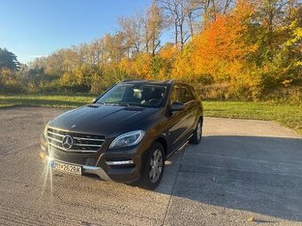 ML 250 CDi W166
