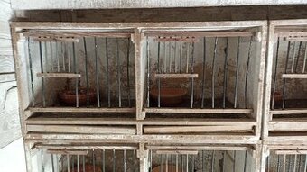 budníky s rošty a mřížkami a další vybavení holubníku