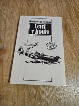 Kniha Letci v bouři Ilona Borská