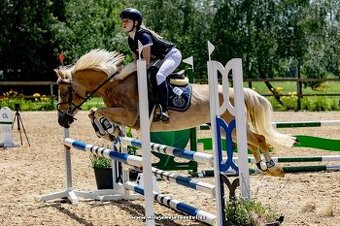 Pony klisna do sportu KVH 133 kat. A 11 let