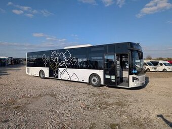 Mercedes Guleryuz Intercity