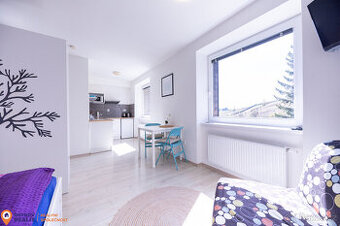 Prodej, apartmán 1+kk, 30 m2, Stříbrnice