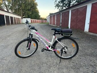 Dámské horské kolo Alpina Eco LM10
