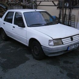 Peugeot 309, 1,2 benzin