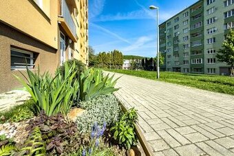 Pronájem byty 1+kk, 19 m2 - Jirkov, ev.č. 567