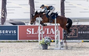 Pony B
