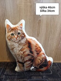 Britská kočka polštářky