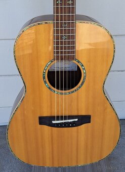 Prodám kytaru Takamine - 1