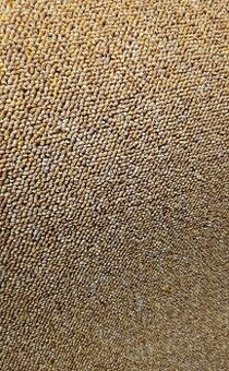 Prodam koberec Turbo, zcela novy zabaleny