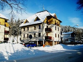 Prodej bytu/horského apartmánu 1+1, 31 m2, Deštné v O.h.