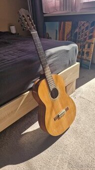 Kytara viz foto - nevyužití