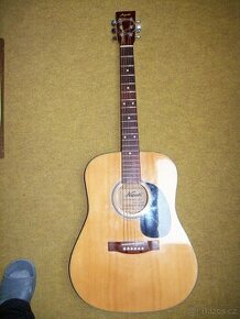 westernová kytara přesná kopie Ibanez SW 310