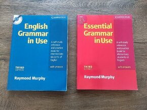 Raymond Murphy - English grammar in Use