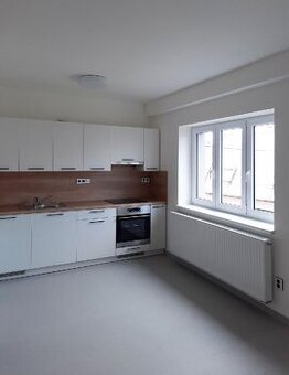Pronájem bytu 1+kk UHERSKÝ BROD - Těšov