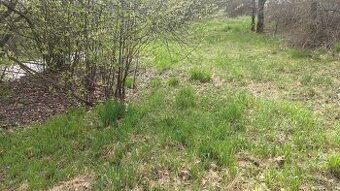 Prodej relaxačního pozemku - Chyňava - Dědkův mlýn