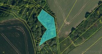 Prodám pozemky v katastrálním území Neplachovice