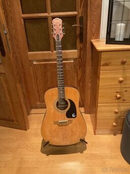 Ak. kytara Epiphone by Gibson PR 200 NS