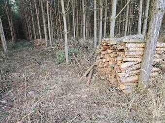 Prodám dřevo